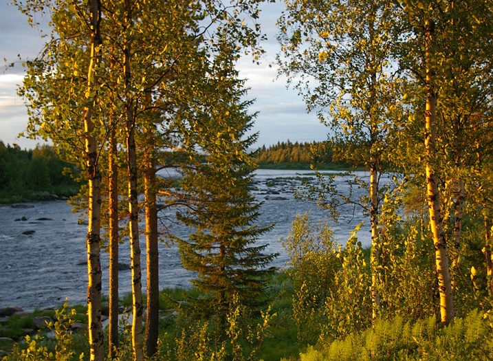 River1 River1